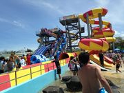 ЂȂ܂܂̘@EH[^[K[f̓eʐ^1