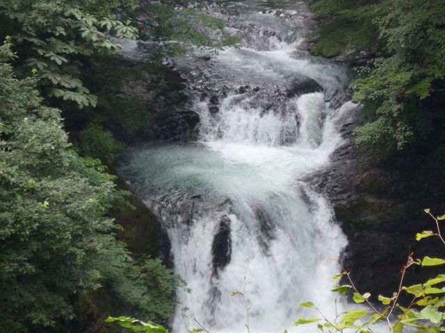 �P�l�\����