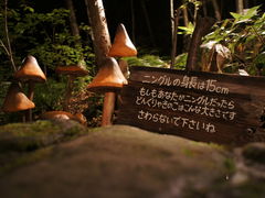 HokkaidõVbsO[hujOeXvւ̓eʐ^2