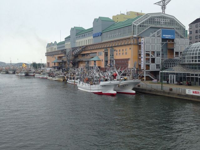 �C�J�ނ�D_���H�t�B�b�V���[�}���Y���[�tMOO�EEGG