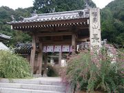 ƂȂ񂳂̍Ŗ̔̓eʐ^1