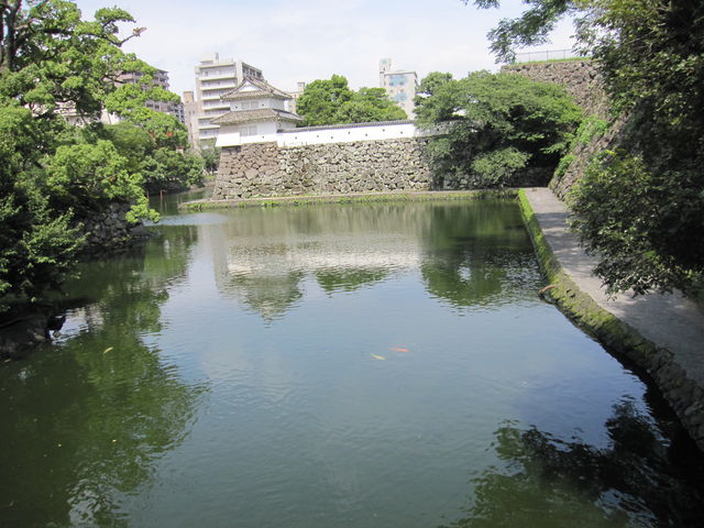 ʐ^F2014N75Bej
{隬Ex_{