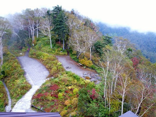 ���x�w�̓W�]�e���X����ς������ȍg�t�ł��B_���R�w�_���E���x���[�v�E�F�C