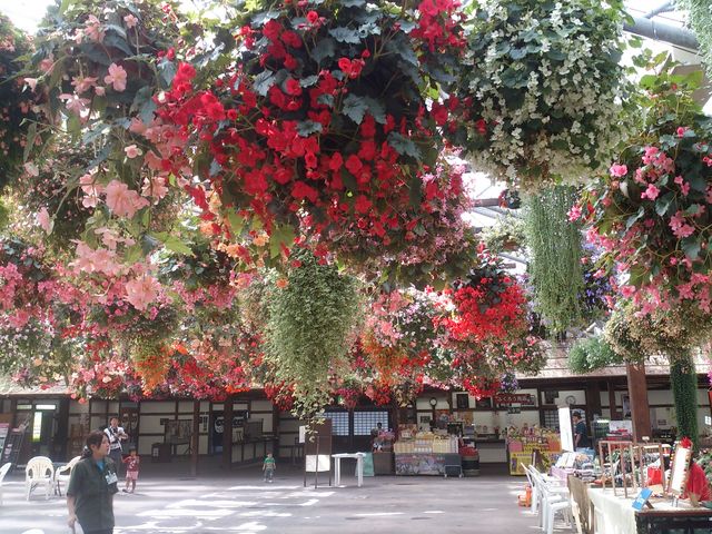 ԂⒹςłIzȏɊyBtNE̔sV[̓XXƂő勻ł_]tH[Qp[N