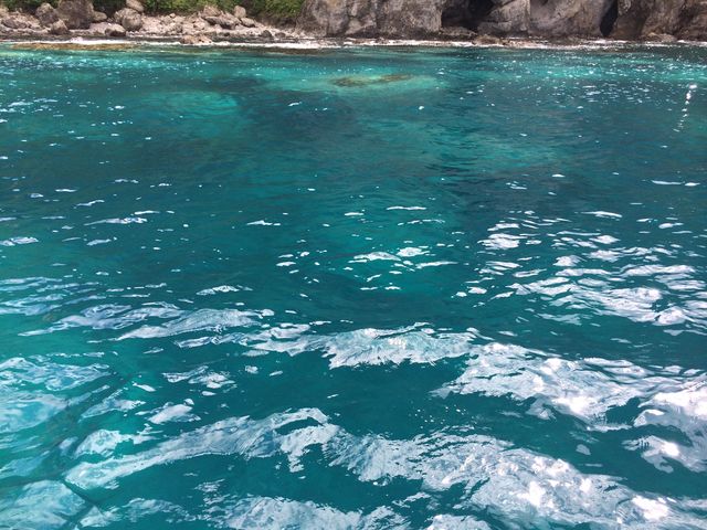 ���Ⴑ����u���[�̊C�I
�{�����Y��ł��B_�����W�]�D��j���[���Ⴑ���񍆣