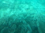 肳̐W]Dj[Ⴑ񍆣̓eʐ^2