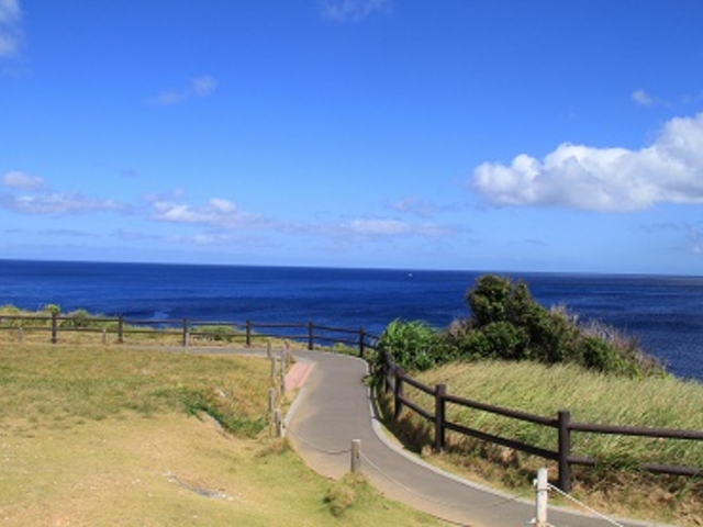 �C���ƂĂ����ꂢ�ł����I�R�����g�𓊍e�������Ɏʐ^�𓊍e���Y�ꂽ�̂ŁA���e���܂����B_������