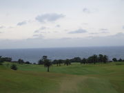 yu̐ރzeStR[X̓eʐ^1