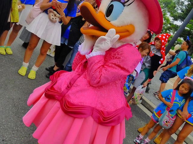 �h�i���h�̉�����H_�����f�B�Y�j�[�V�[(R)