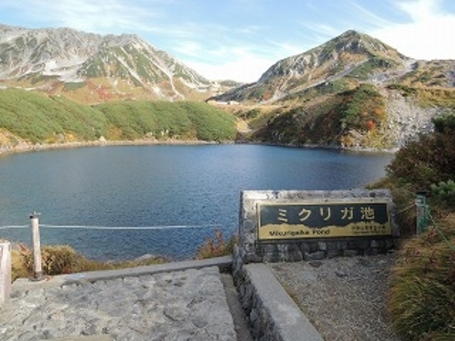 �~�N���K�r�Ɨ��R�̍g�t_�݂��肪�r