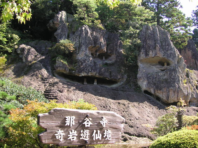 ���V�勫_�ߒJ��