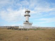 fghdfd����̓���W�]��̓��e�ʐ^2