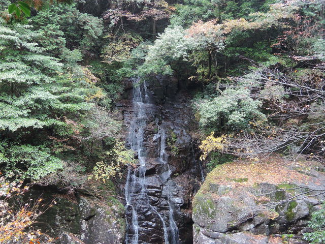 �O�i���E�o����_���ʖ����@�O�i���̍g�t