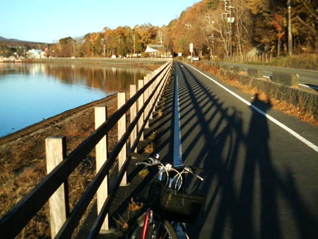 Ή̍gtɐ܂؁XłB_TCNO[h