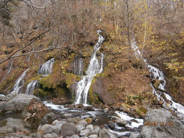 N}̏ovɒӁIAƂ\Ăϋْčs܂B_f̑