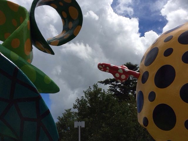 �������������A�[�g�̐X