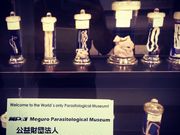 ҂񂳂̖ڍ񐶒ق̓eʐ^1