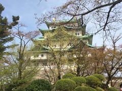 ���É���̎ʐ^1