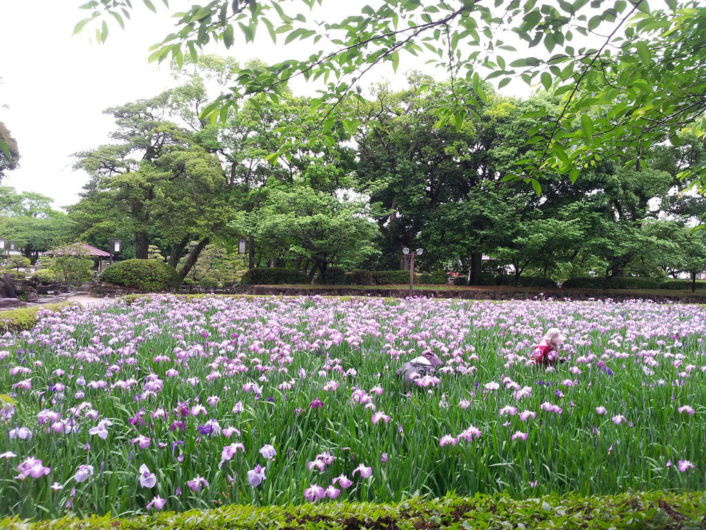 大村市の公園・庭園ランキングTOP5 - じゃらんnet