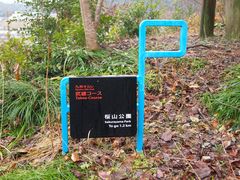 マービンさんの桜山公園（佐賀県武雄市）の投稿写真2