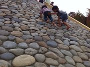 jelly̕󂪒rqǂ̊y̓eʐ^1