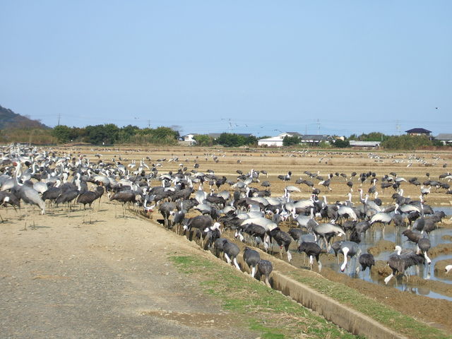 �o���s�c���ώ@�Z���^�[