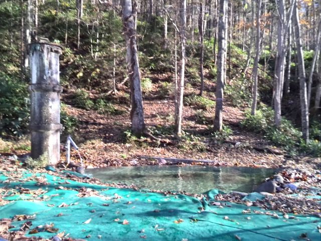 ��;�A���J���P��������
���򉷓x�F2�W�x
���F�����̉���_�I�\�E�V����