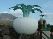 mitủ̗w Yق̓eʐ^1