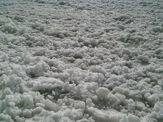 �I�z�[�c�N�C�̗��X_�I�z�[�c�N�C�̗��X