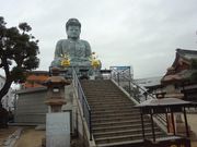 Ђ낳̔\iɑ啧j̓eʐ^2