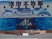 浅虫水族館 アクセス 営業時間 料金情報 じゃらんnet