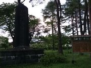 �ڗ�������̓l��ˎj�Ղ̓��e�ʐ^1