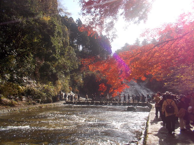 �{�V�k�J_�{�V�k�J