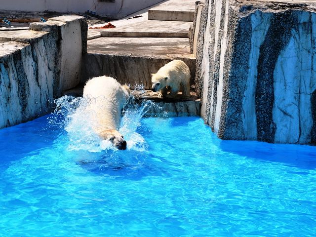 ���`�s�����`�I�@���킢��`�I�I_�~�R������