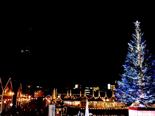 �P��̃N���X�}�X�c���[�~�̍ՓT�I�ԃ����K�Ɛc���[�̃R���g���X�g���ō��I�I_���X�ԃ����K�q��