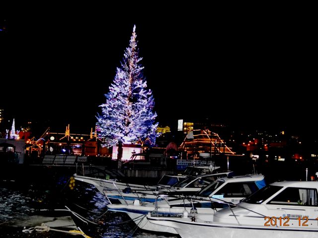 ���X�q�ɑO�̊C�ɕ��ԃN���X�}�X�c���[�I_���X�ԃ����K�q��