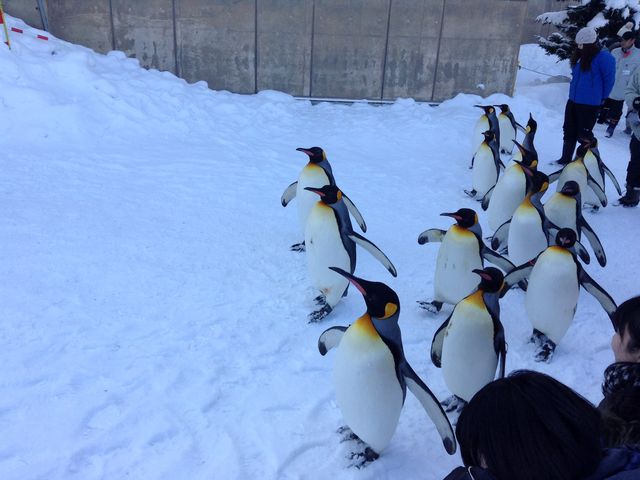 ���R������