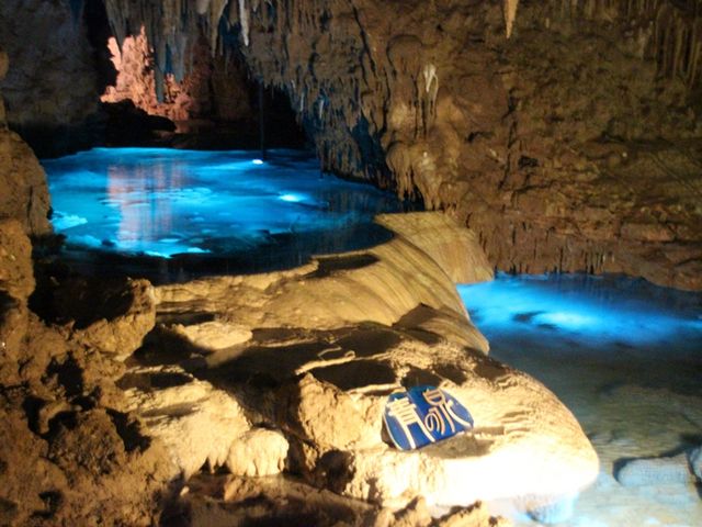 ̐B̂܂܈߂ȃLCȐI_Ȃ탏[h