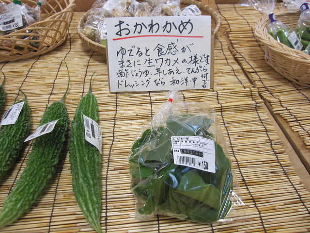 񂳂̂y`n炮_Y̓eʐ^2