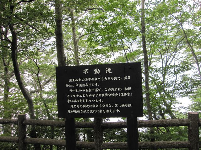 2014N815Bej
usv_OKEs