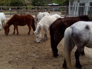 Ђ񂳂̖ԔnnCh̓eʐ^2