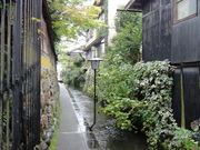 yotawan̂킱݂̓eʐ^1