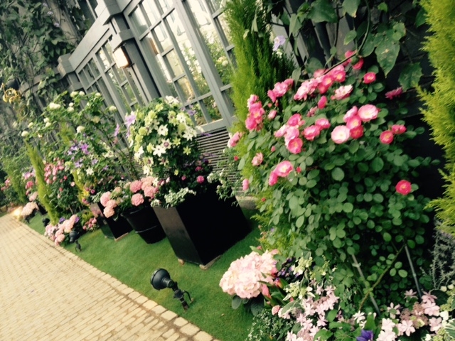 �W�H��������������E���킶�O���[����