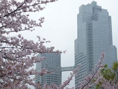 ݂Ⴓ̐HK[fւ̓eʐ^1