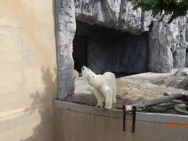 ���R������