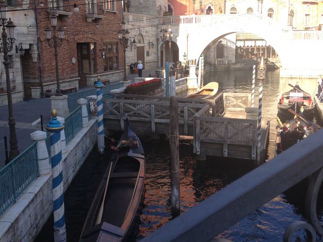 �܂�ŊO���̂悤�ȃS���h���������_�����f�B�Y�j�[�V�[(R)