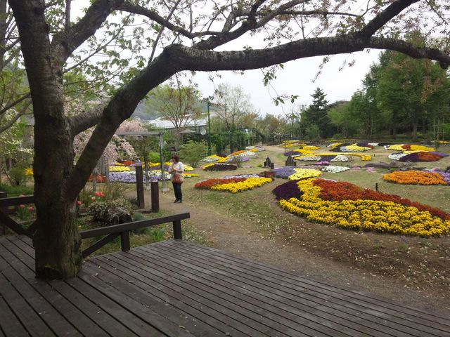 �ӂ�ɉԂ̍��肪���Ă܂����B_�t���[�����K�[�f�����Ԃ�