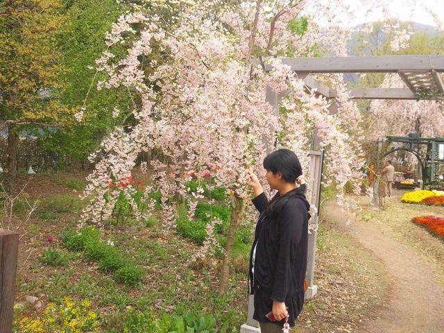 �ȊO�ɍL���뉀�ł��B_�t���[�����K�[�f�����Ԃ�