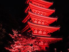 さわちゃんさんの東長寺への投稿写真1