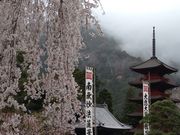 eb`̐gRṽV_UN̓eʐ^1